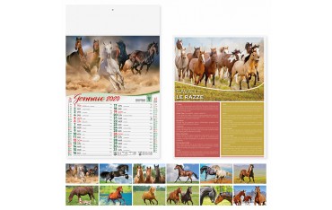 Calendari personalizzati 2020 illustrato olandese parete muro cavalli animali PA107