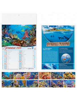 Calendari personalizzati 2020 illustrato da parete muro fondali marini mare PA120