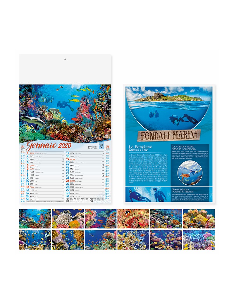 Calendari personalizzati 2020 illustrato da parete muro fondali marini mare PA120