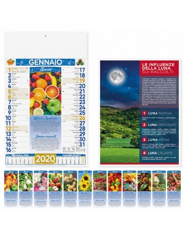 Calendari pubblicitari 2020 promo illustrati da parete muro lunario frutta PA152