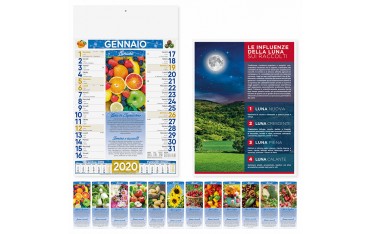 Calendari pubblicitari 2020 promo illustrati da parete muro lunario frutta PA152
