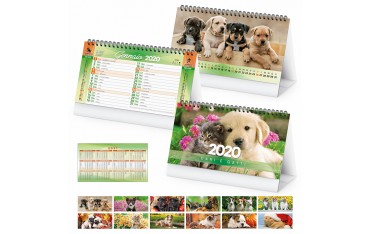 Calendari personalizzati 2020 aziendali promo scrivania ufficio cane gatti PA403